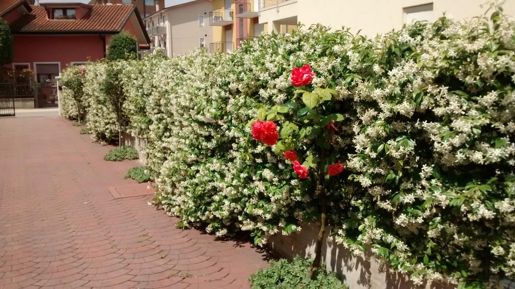 Appartamenti Bedin, Jesolo Dış mekan fotoğraf